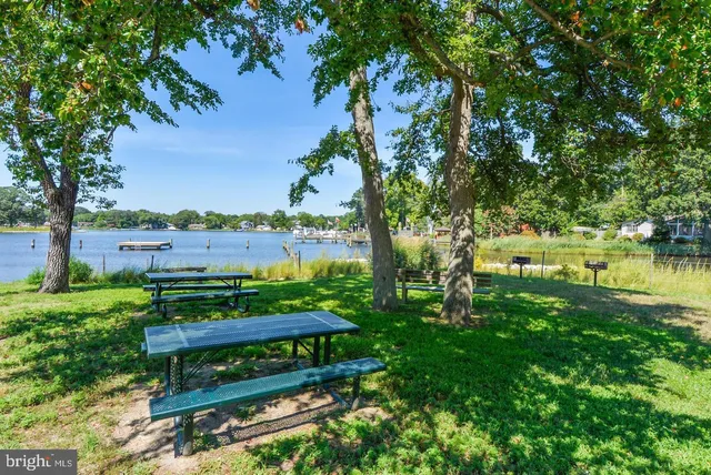 a view of a chair and table of the garden