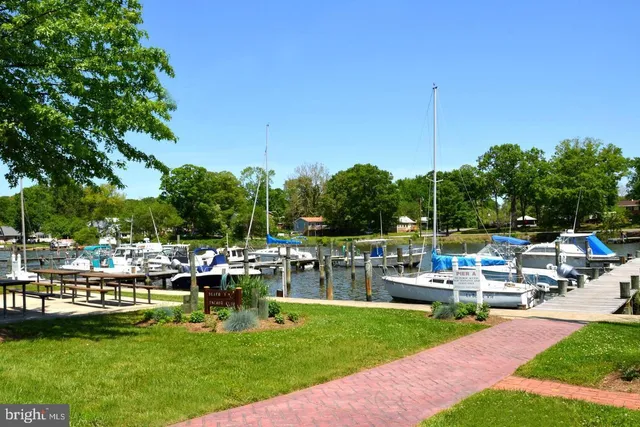 a view of a lake with a beach