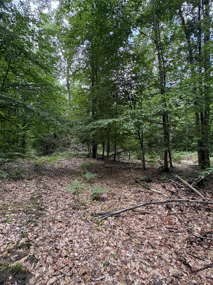 5 5 Mile Road Howard City, MI 49329 - Photo 48 of 99 Gallery Image 48