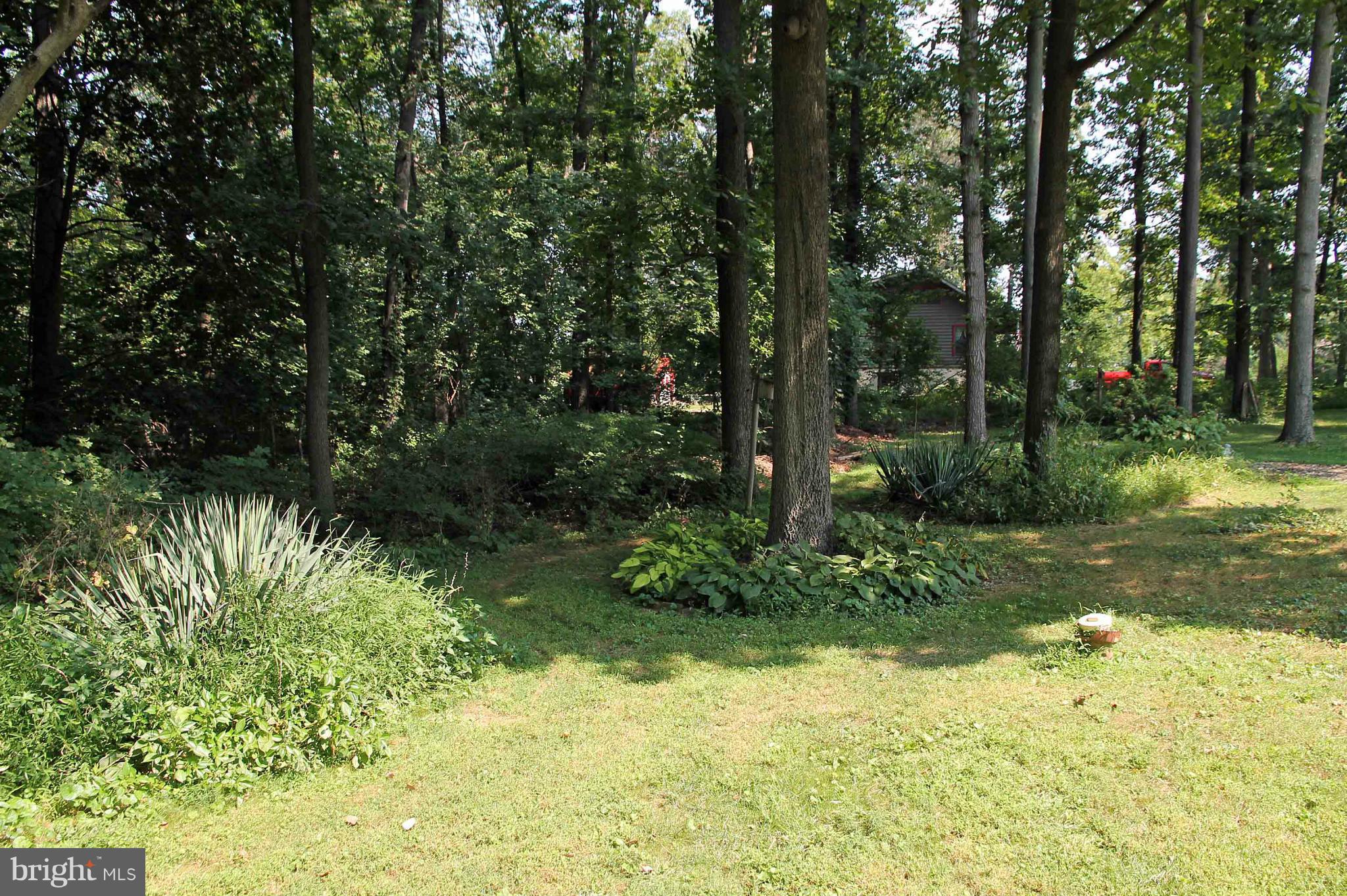 20314 West Liberty Road White Hall, MD 21161 - Photo 9 of 30 Lot Backs to Trees for Privacy
