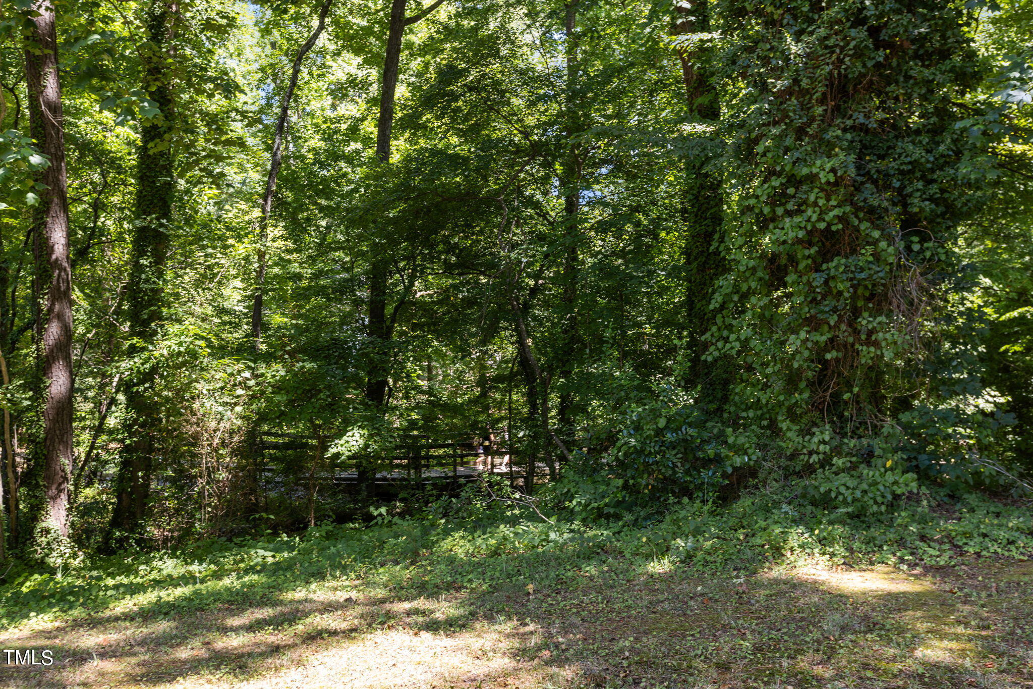 8112 Running Cedar Trail Raleigh, NC 27615 - Photo 47 of 54 Back Yard overlooking Greenway