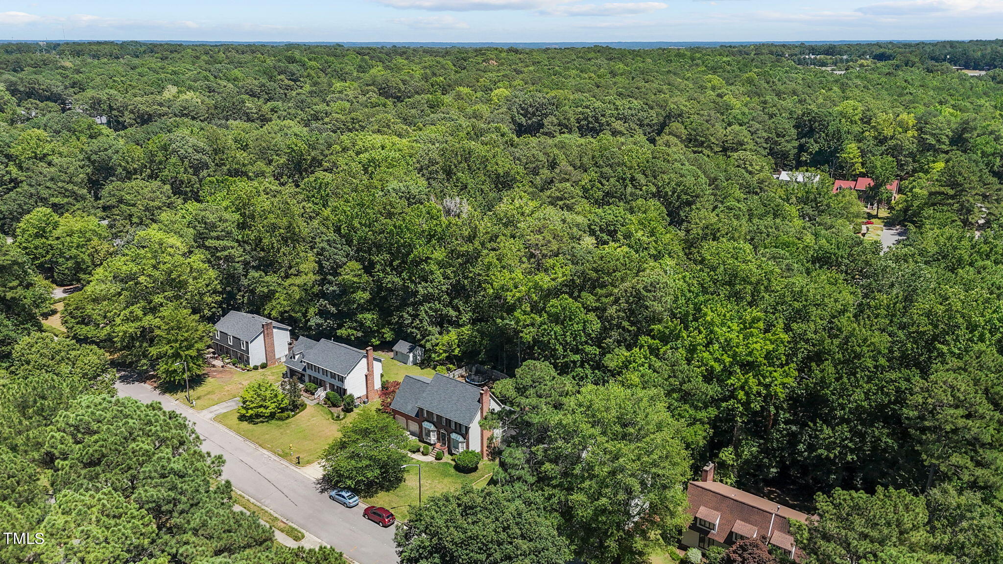 8112 Running Cedar Trail Raleigh, NC 27615 - Photo 48 of 54 Aerial View 1