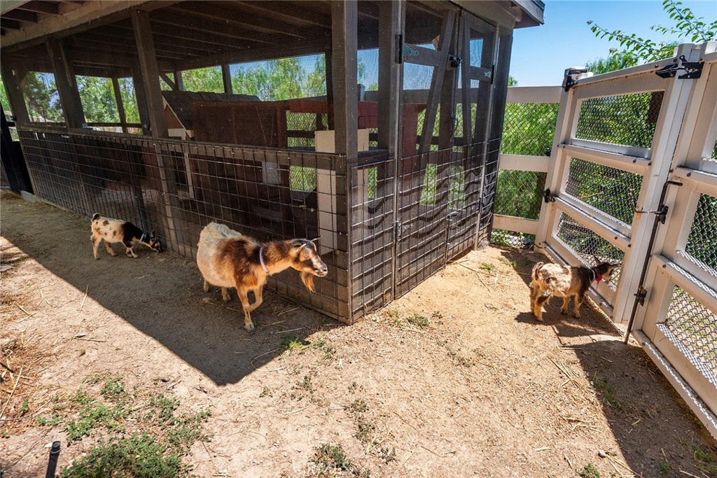 5207 Saddle Creek Road Hidden Hills, CA 91302 - Photo 48 of 54 a view of a backyard with sitting area