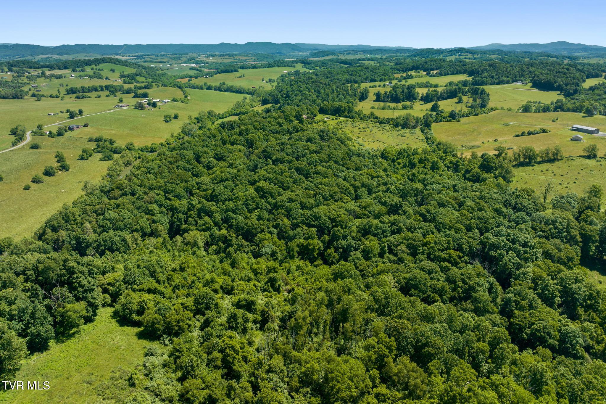 35000 Barrtree Lane Glade Spring, VA 24340 - Photo 50 of 79 DJI_0408