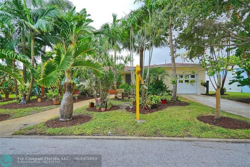 Lush Tropical Landscaping with rare Palms creates great curb appeal.