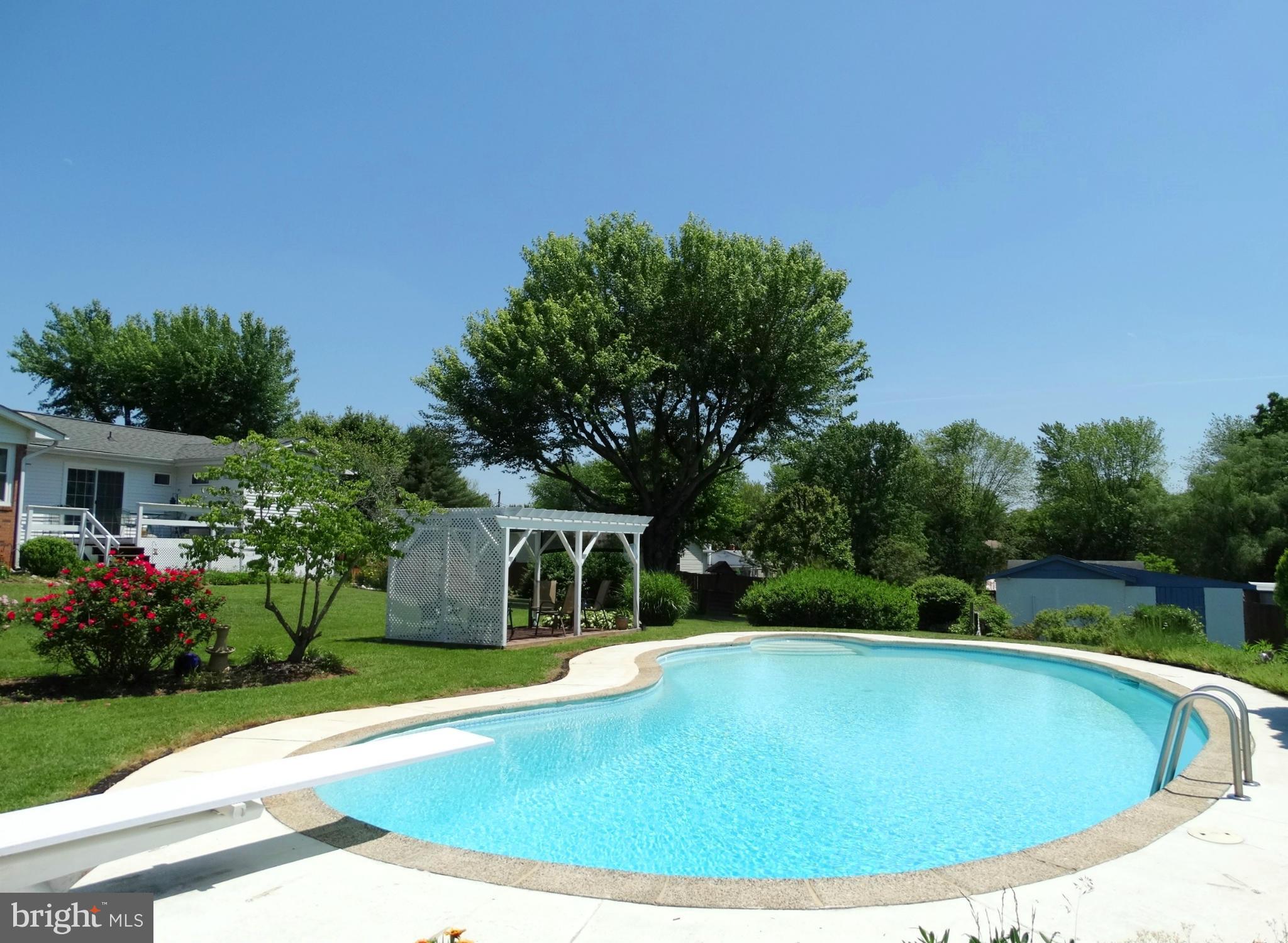 18116 South Merrimac Road Culpeper, VA 22701 - Photo 3 of 30 Stunning In-Ground Pool