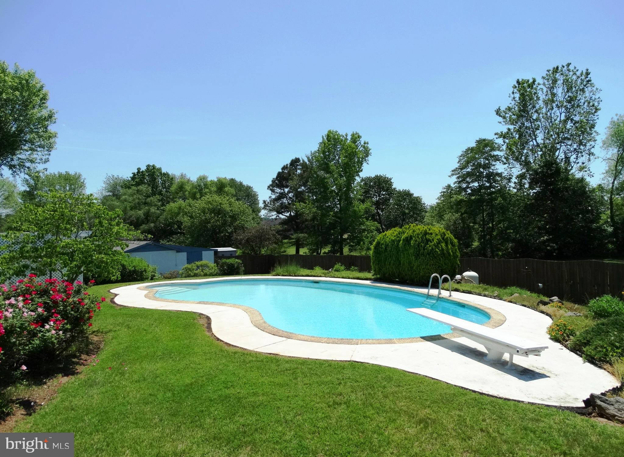 18116 South Merrimac Road Culpeper, VA 22701 - Photo 4 of 30 9' Deep with Diving Board