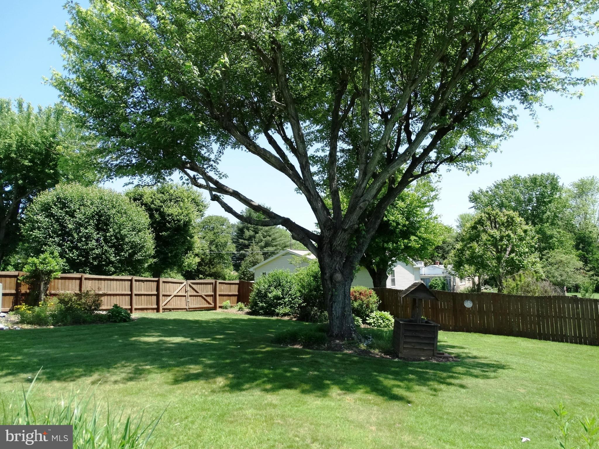 18116 South Merrimac Road Culpeper, VA 22701 - Photo 6 of 30 Privacy Fence All the Way Around