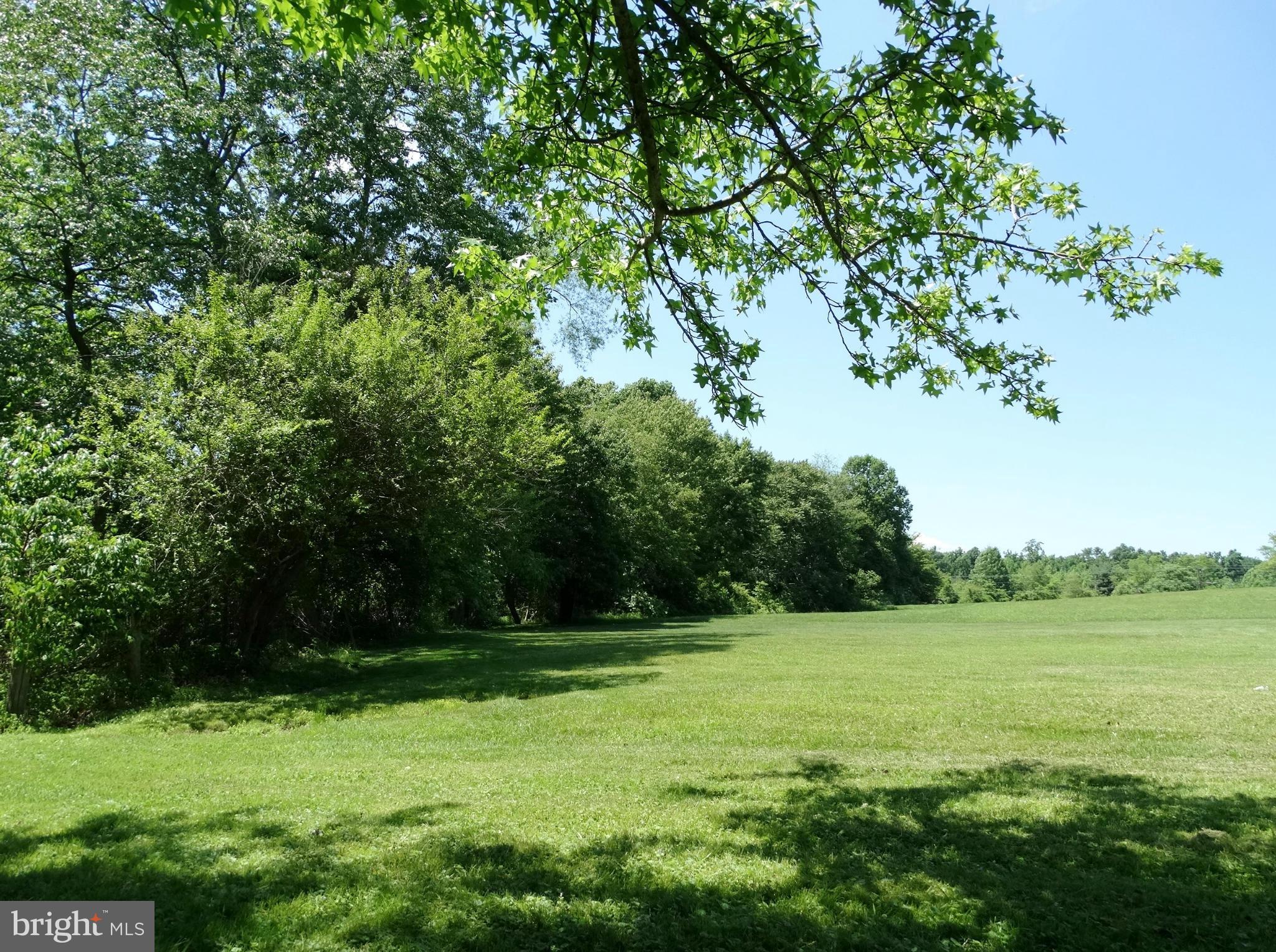 18116 South Merrimac Road Culpeper, VA 22701 - Photo 8 of 30 Open Field at the Back of the Property