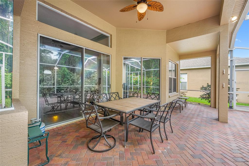 11421 Strathaven Court Trinity, FL 34655 - Photo 58 of 91 Gallery Image 58