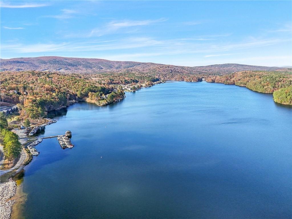 2007 Eagles Ridge Waleska, GA 30183 - Photo 44 of 45 an aerial view of residential house with beach