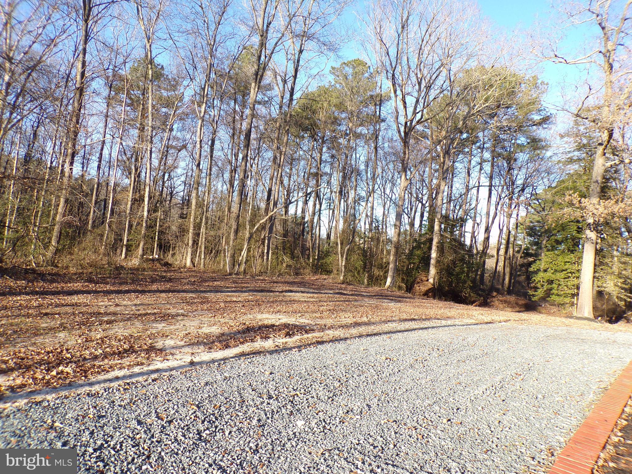 5165 Campground Road Eden, MD 21822 - Photo 14 of 15 Gallery Image 14
