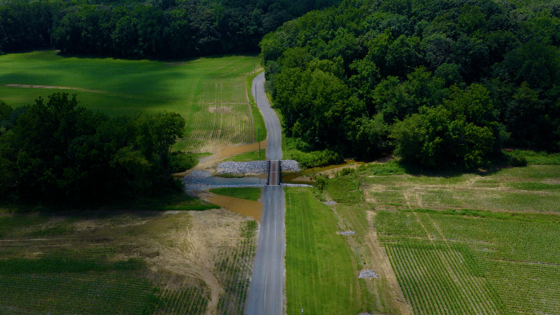 5279 State Line Road East Hazel, KY 42049 - Photo 70 of 93 45