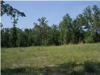 2002 Grady Baggett Road Baker, FL 32531 - Photo 1 of 3 a view of a grassy field with trees in the background
