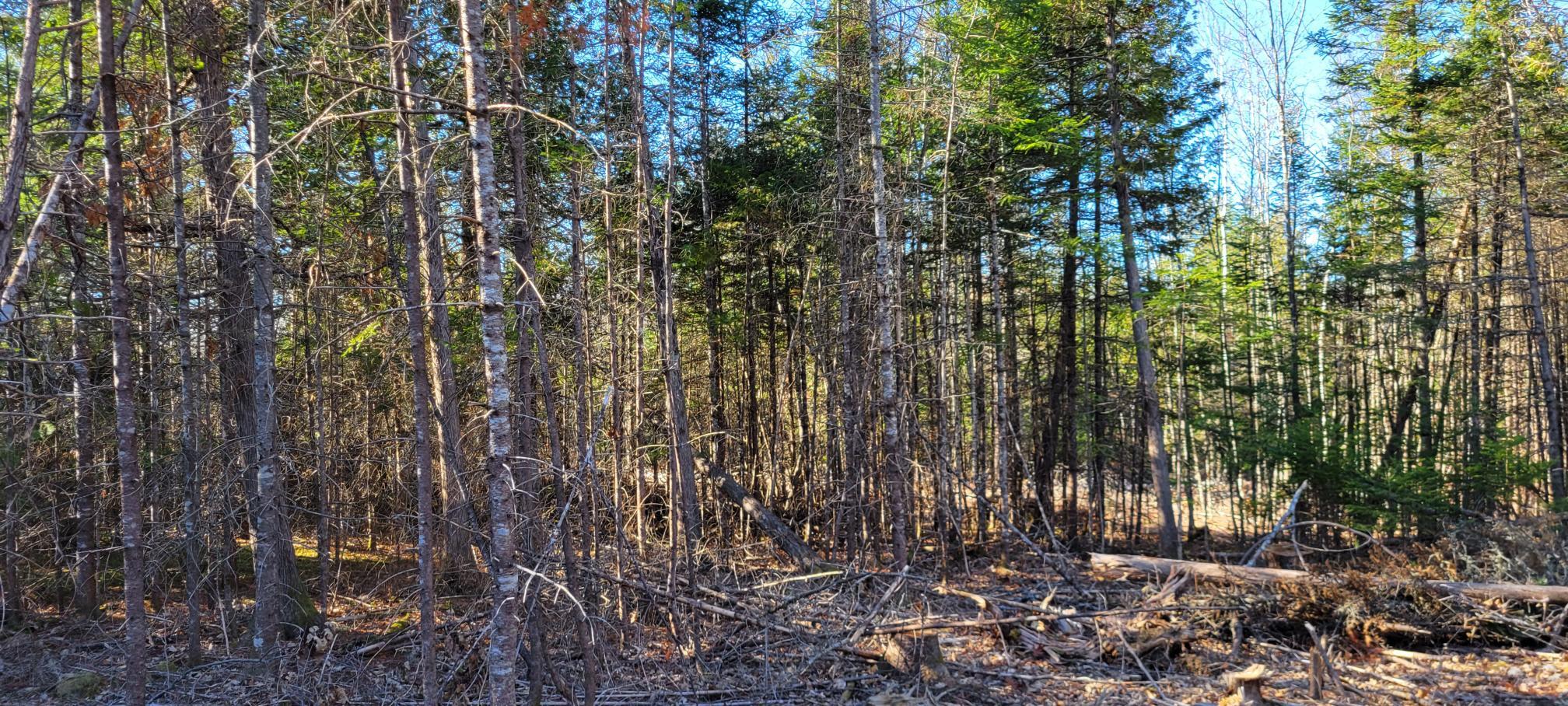 25-22 Back Troy Road Troy, ME 04987 - Photo 26 of 43 Lot 12