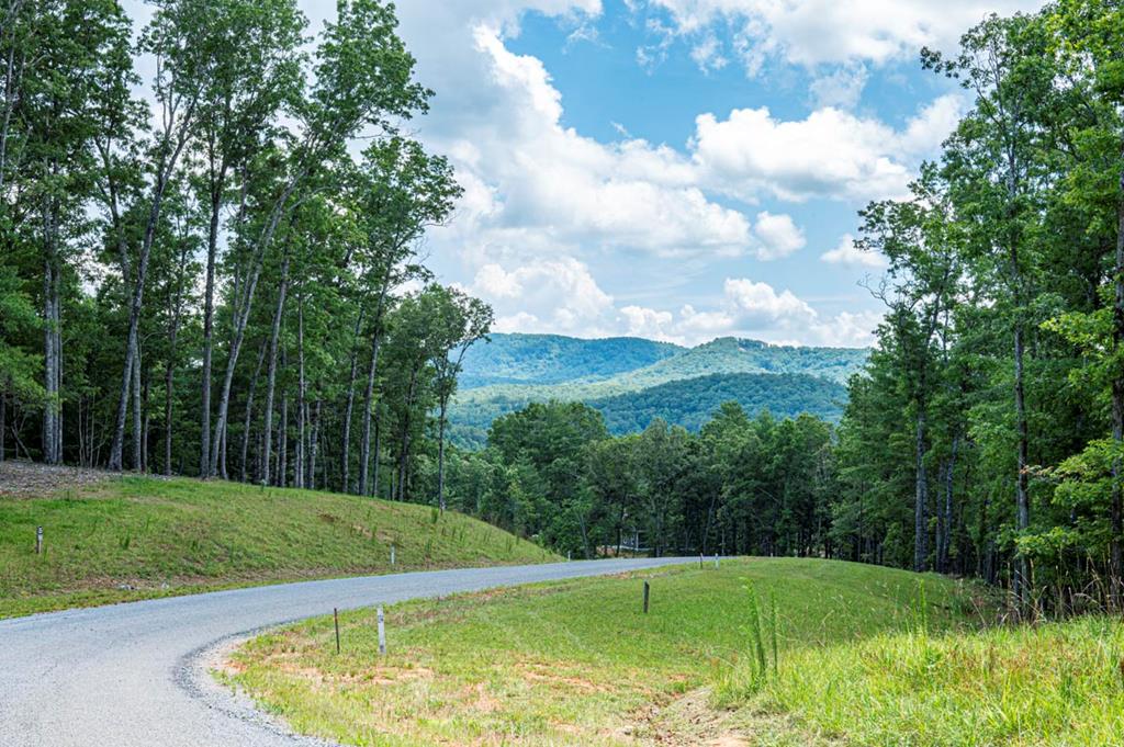 151 The Ridges Morganton, GA 30560 - Photo 11 of 16 a view of a grassy field with clear sky