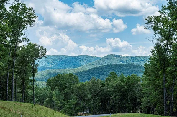 a view of a bunch of trees