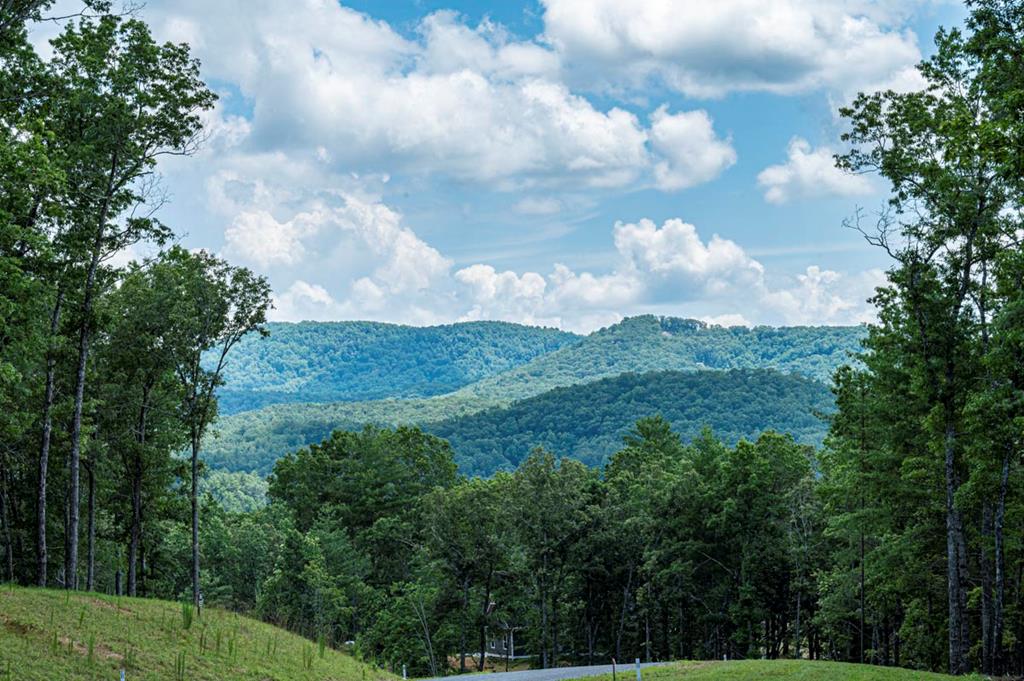 151 The Ridges Morganton, GA 30560 - Photo 12 of 16 a view of a bunch of trees
