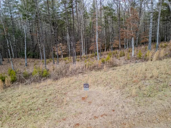 a view of a forest with trees