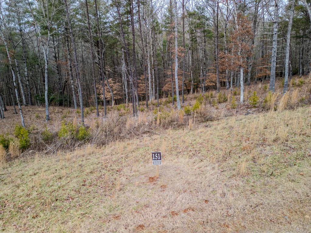 151 The Ridges Morganton, GA 30560 - Photo 4 of 16 a view of a forest with trees