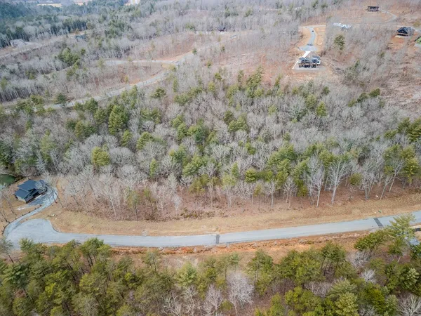 a view of a dry yard with trees
