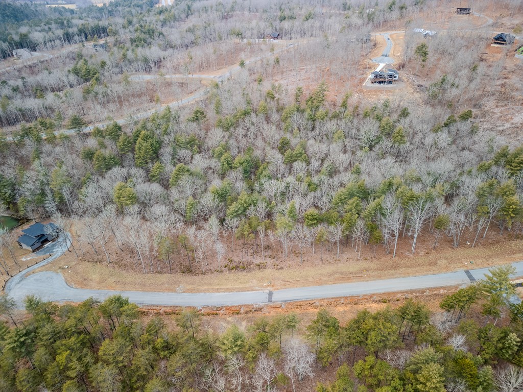 151 The Ridges Morganton, GA 30560 - Photo 8 of 16 a view of a dry yard with trees