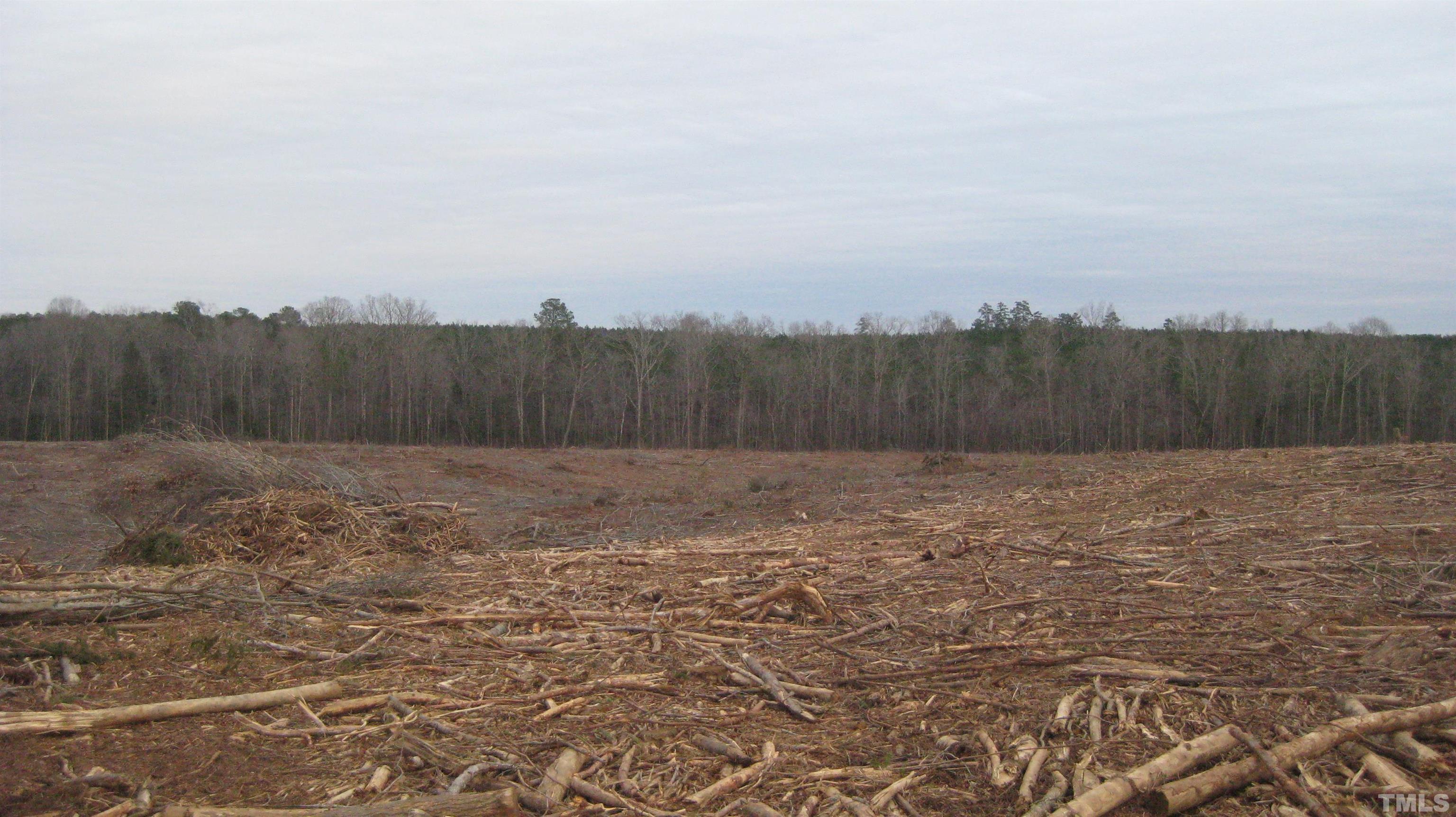 9 Embro-Odell Road Macon, NC 27551 - Photo 7 of 9 Gallery Image 7