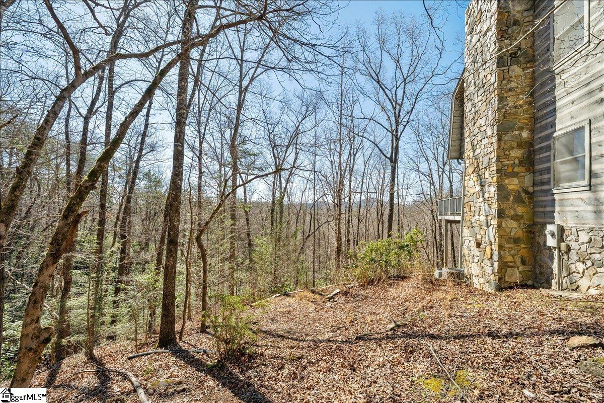 512 Doe Run Pickens, SC 29671 - Photo 5 of 43