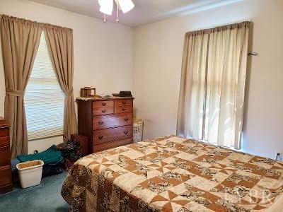 780 Vineyard Road Concord, VA 24538 - Photo 15 of 26 a bedroom with a bed and a potted plant