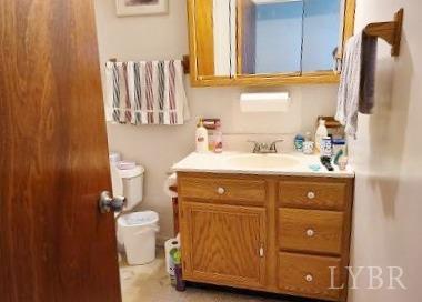 780 Vineyard Road Concord, VA 24538 - Photo 16 of 26 a bathroom with a sink a toilet and a mirror