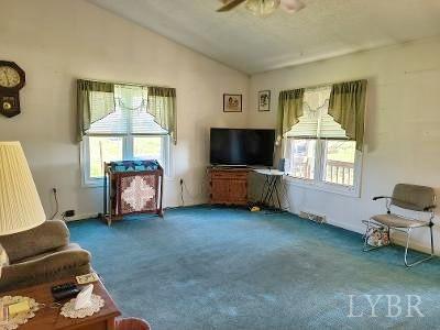 780 Vineyard Road Concord, VA 24538 - Photo 10 of 26 a living room with furniture and a flat screen tv
