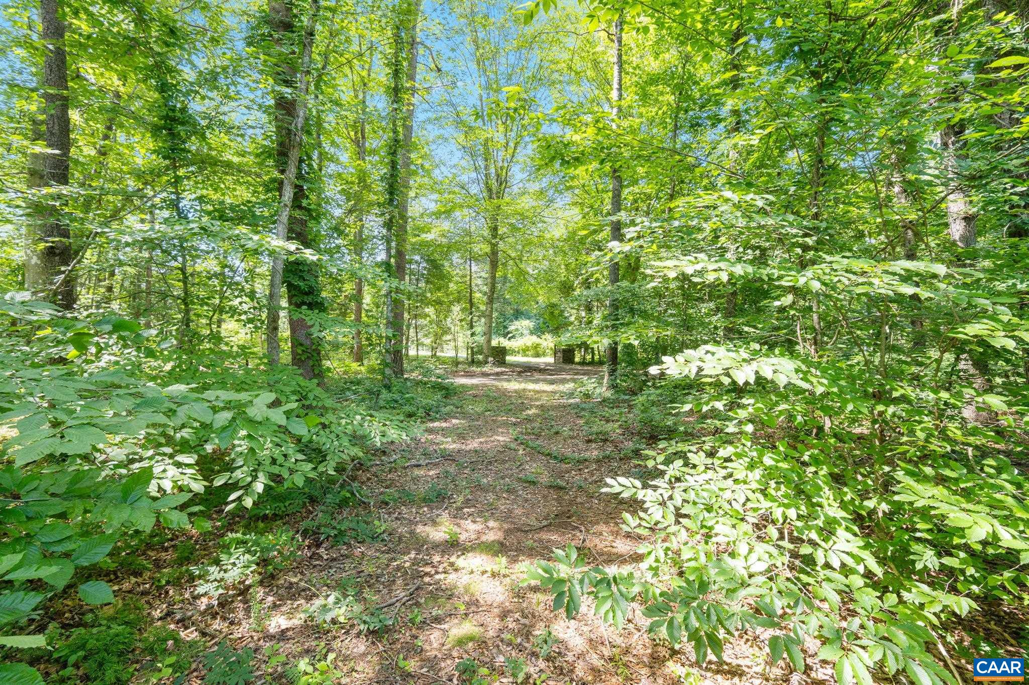 Lot A Penny Lane Charlottesville, VA 22903 - Photo 19 of 30