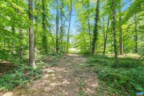 a view of yard with green space