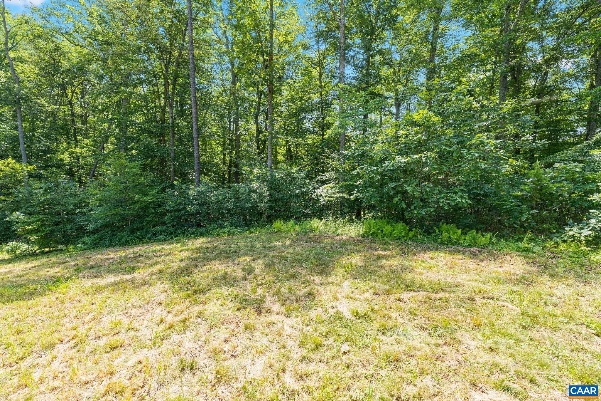 Lot A Penny Lane Charlottesville, VA 22903 - Photo 25 of 30 a view of a yard with a tree