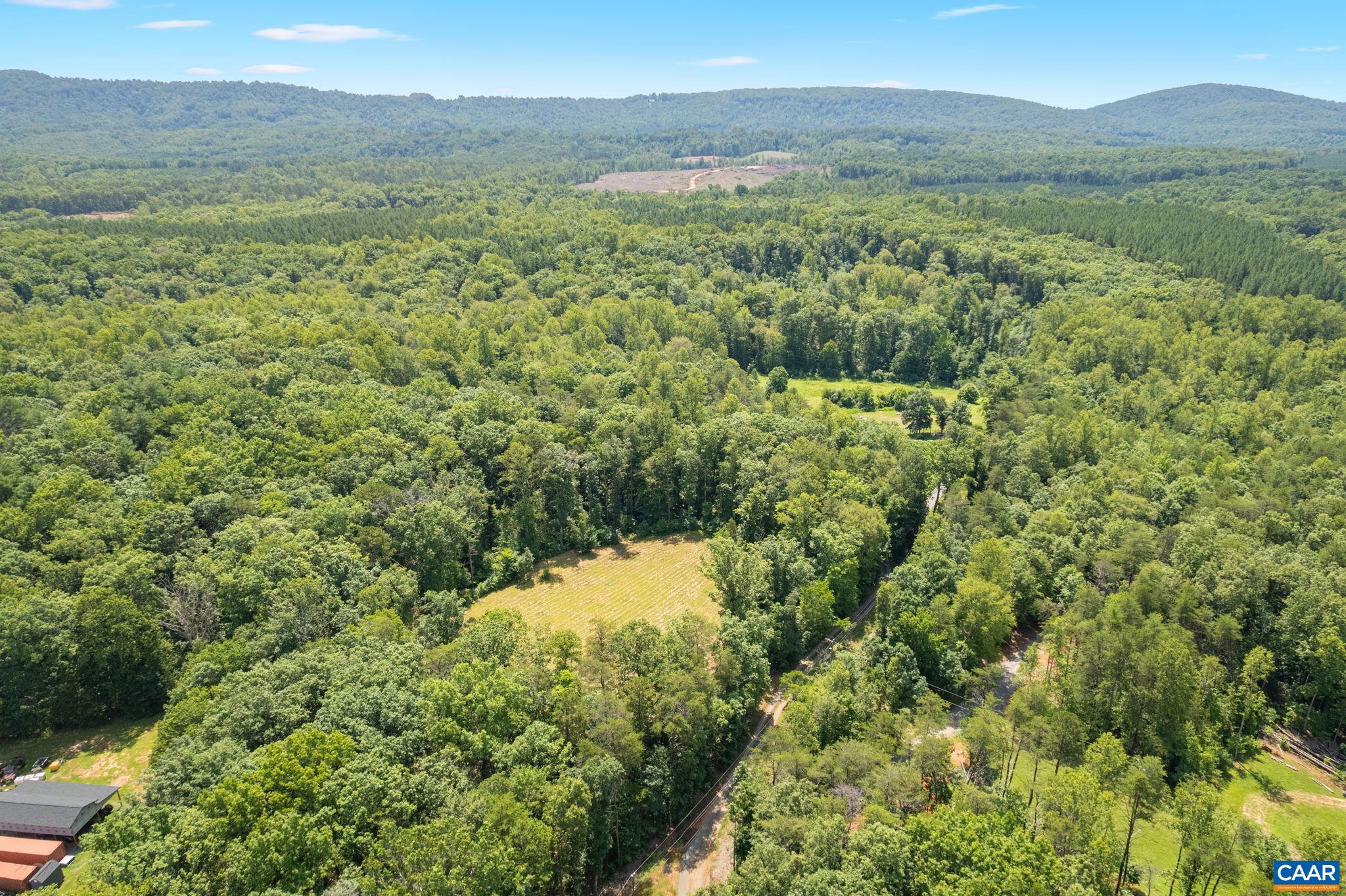Lot A Penny Lane Charlottesville, VA 22903 - Photo 30 of 30 a view of a forest with an outdoor space