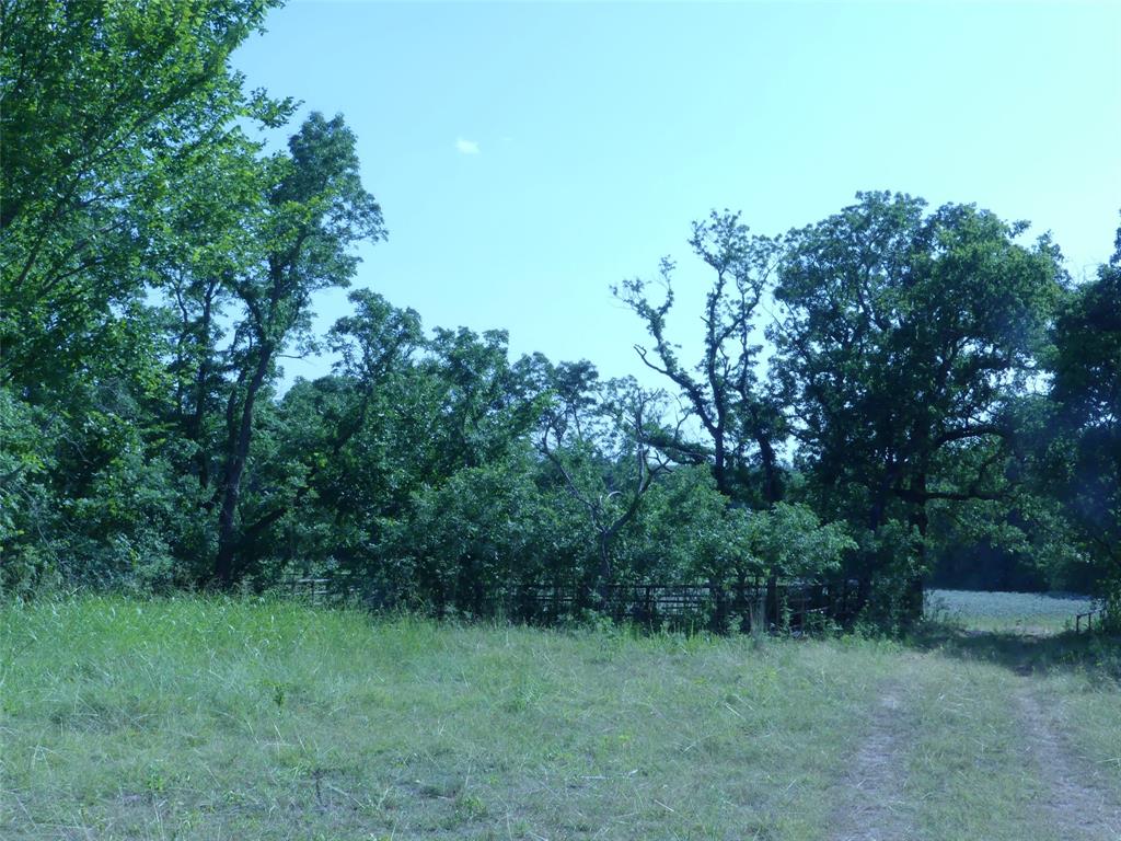 1691 West Alamo Road Bowie, TX 76230 - Photo 17 of 40 Gallery Image 17
