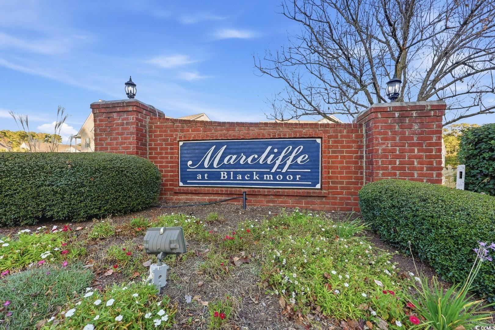 5828 Longwood Drive, Unit 12301 Murrells Inlet, SC 29576 - Photo 20 of 22