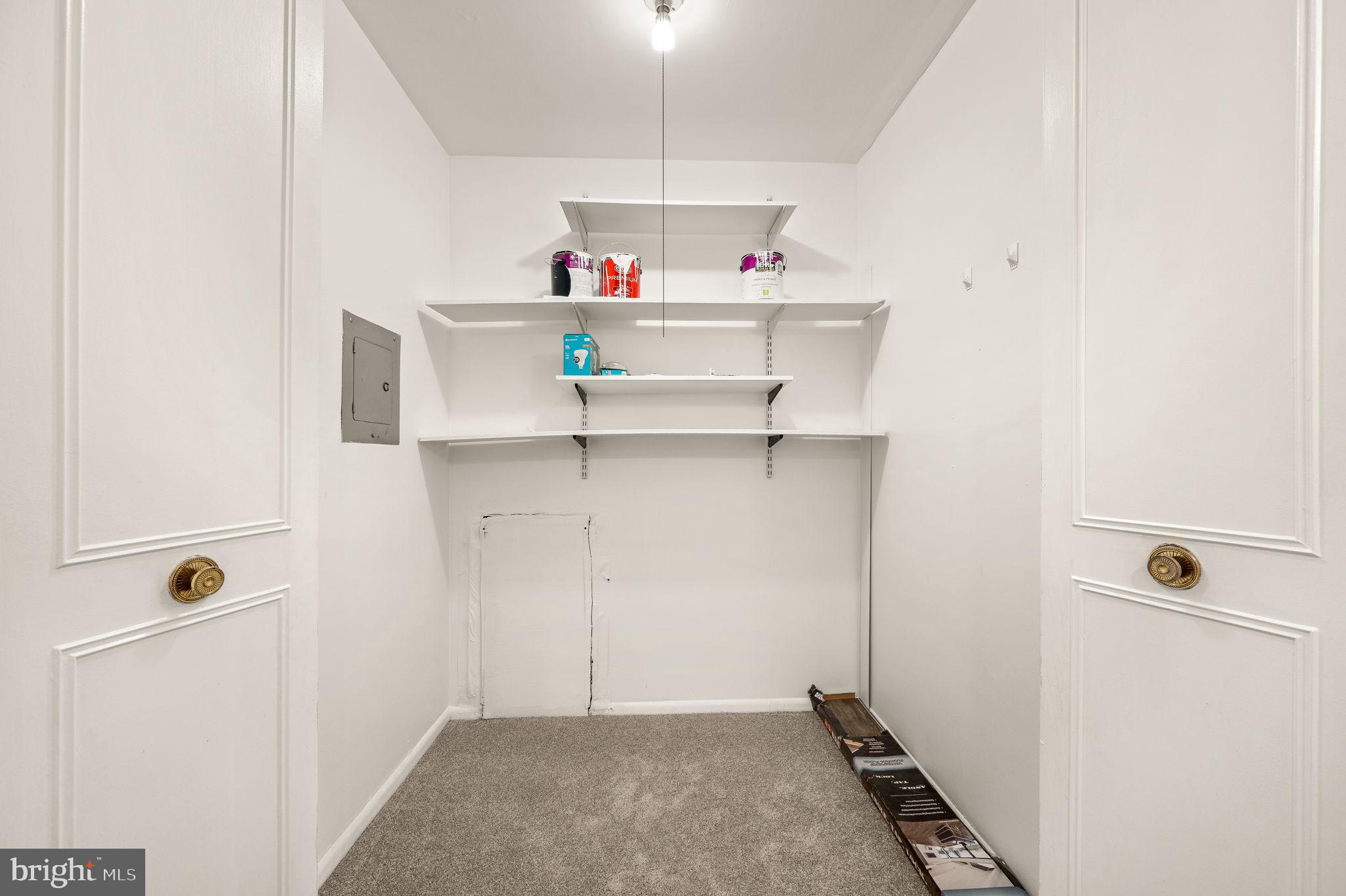 401 Drummers Lane Wayne, PA 19087 - Photo 20 of 21 Storage Closet