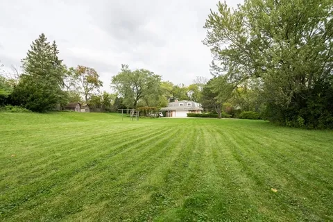 a view of a grassy field with trees