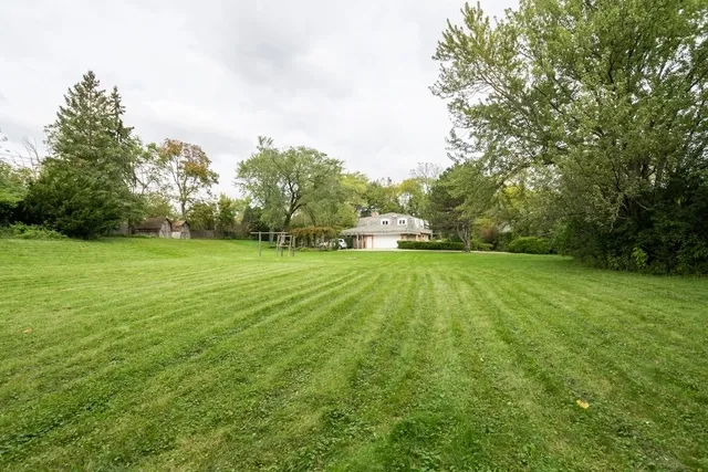 a view of a grassy field with trees