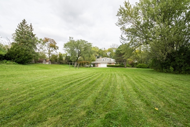 a view of a grassy field with trees