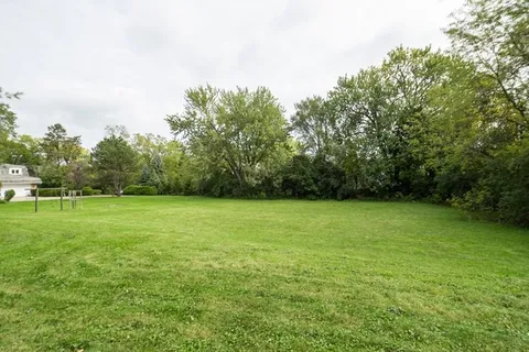 a view of a field with a trees in the background