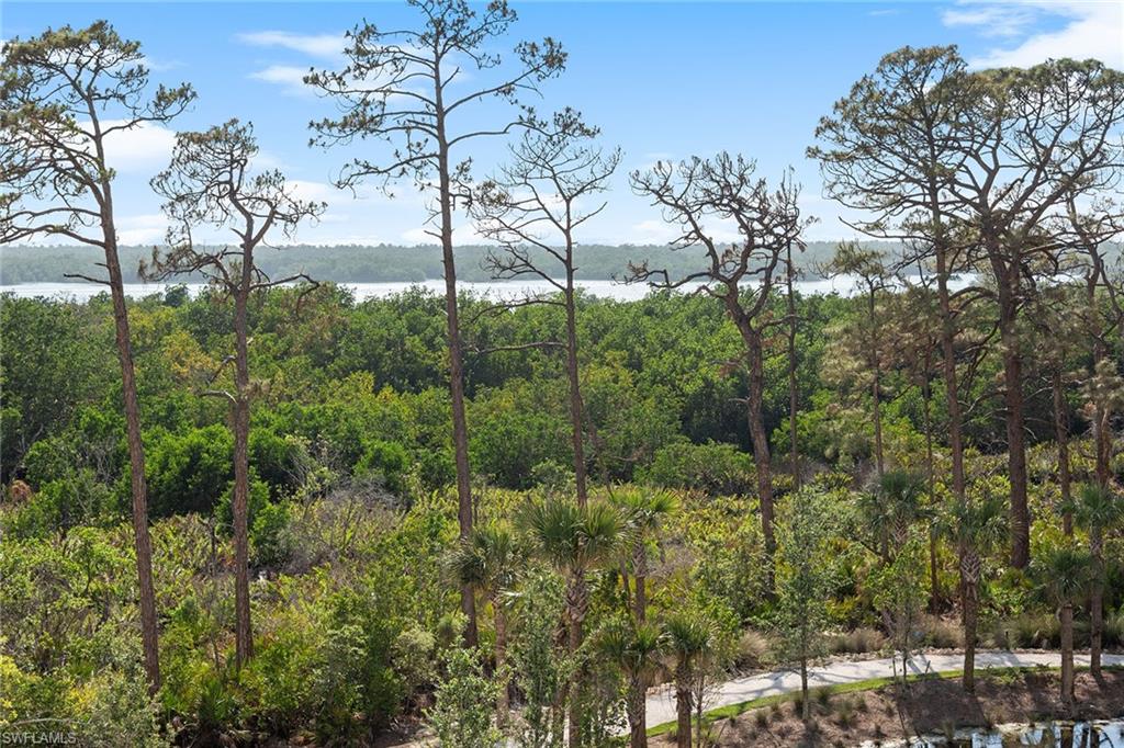 13945 Old Coast Road, Unit 406 Naples, FL 34110 - Photo 41 of 46 a view of a garden with a house