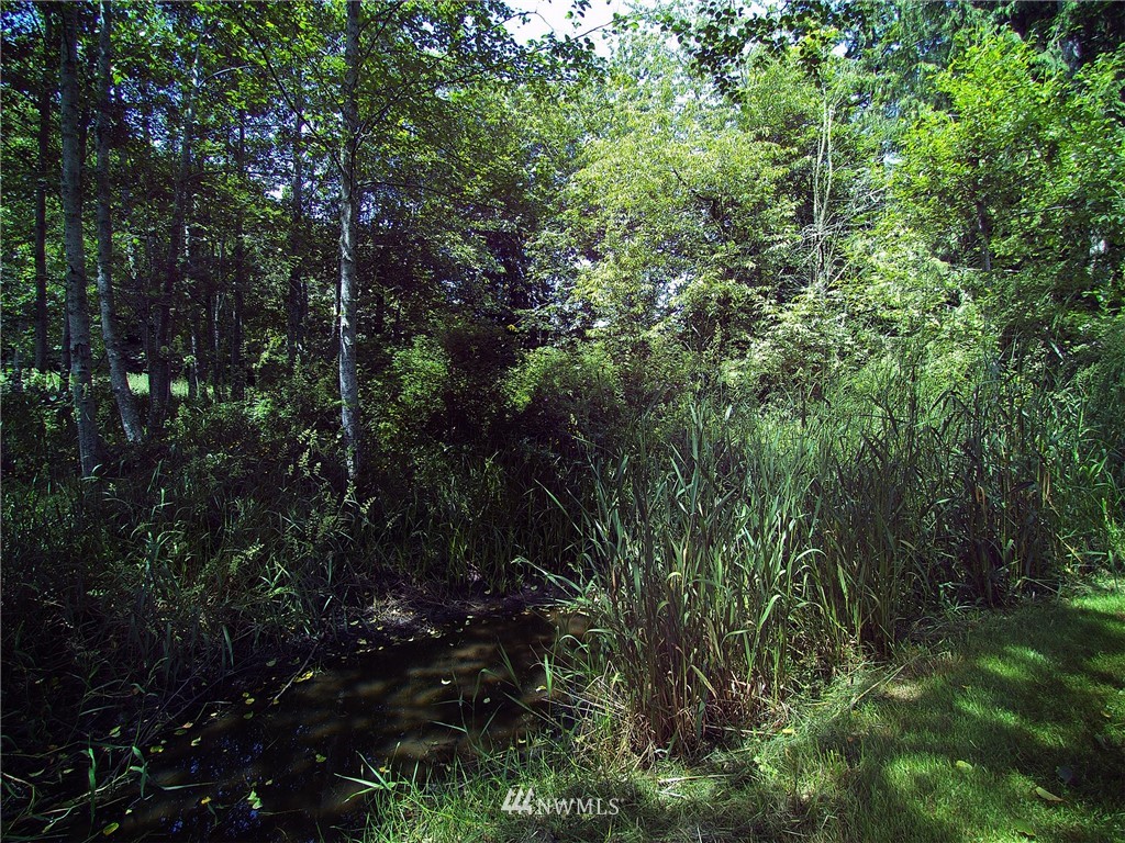 1384 Grauel-Ramapo Road Port Angeles, WA 98363 - Photo 22 of 25 Gallery Image 22