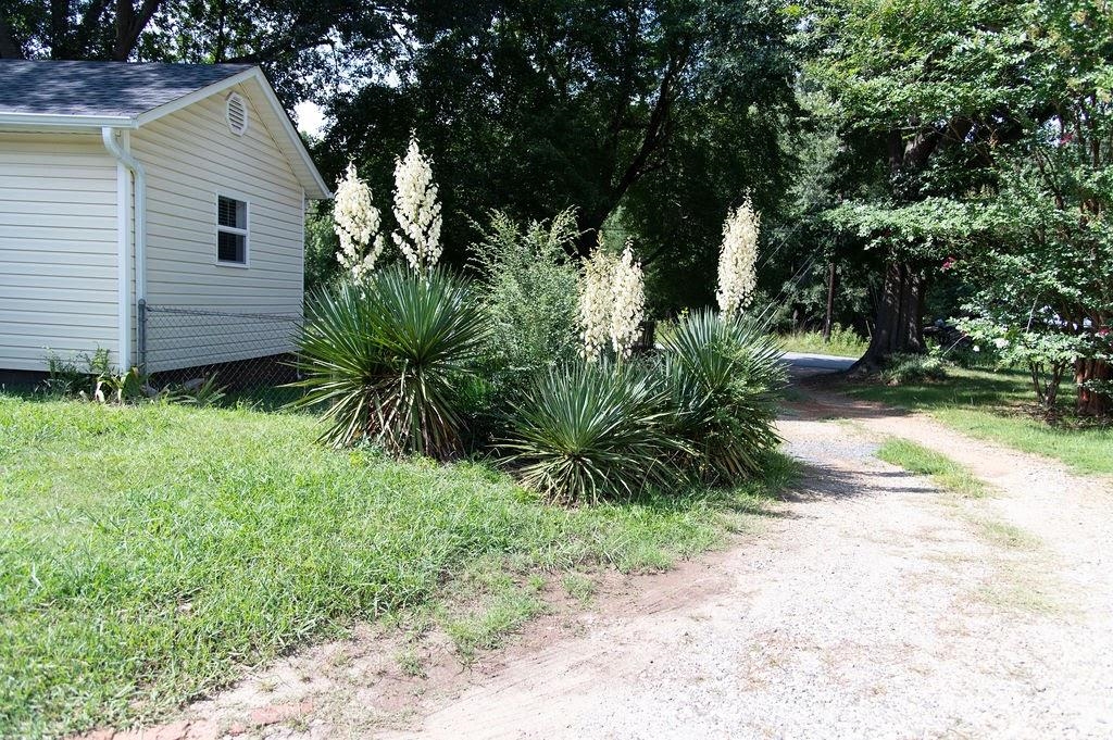 462 Foster Road Wellford, SC 29385 - Photo 3 of 9 Gallery Image 3