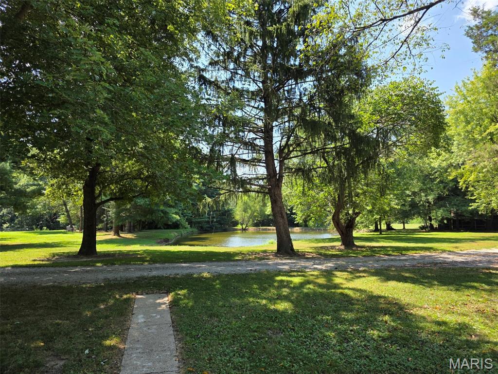 22746 Nebraska Road Ashley, IL 62808 - Photo 11 of 27