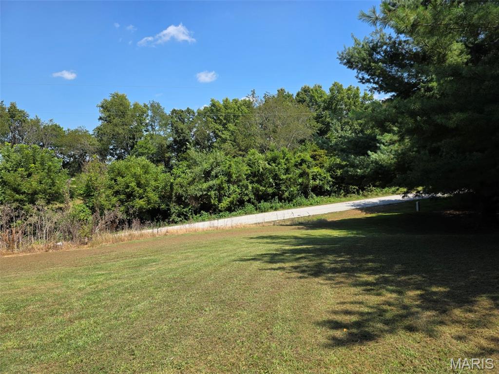 22746 Nebraska Road Ashley, IL 62808 - Photo 10 of 27