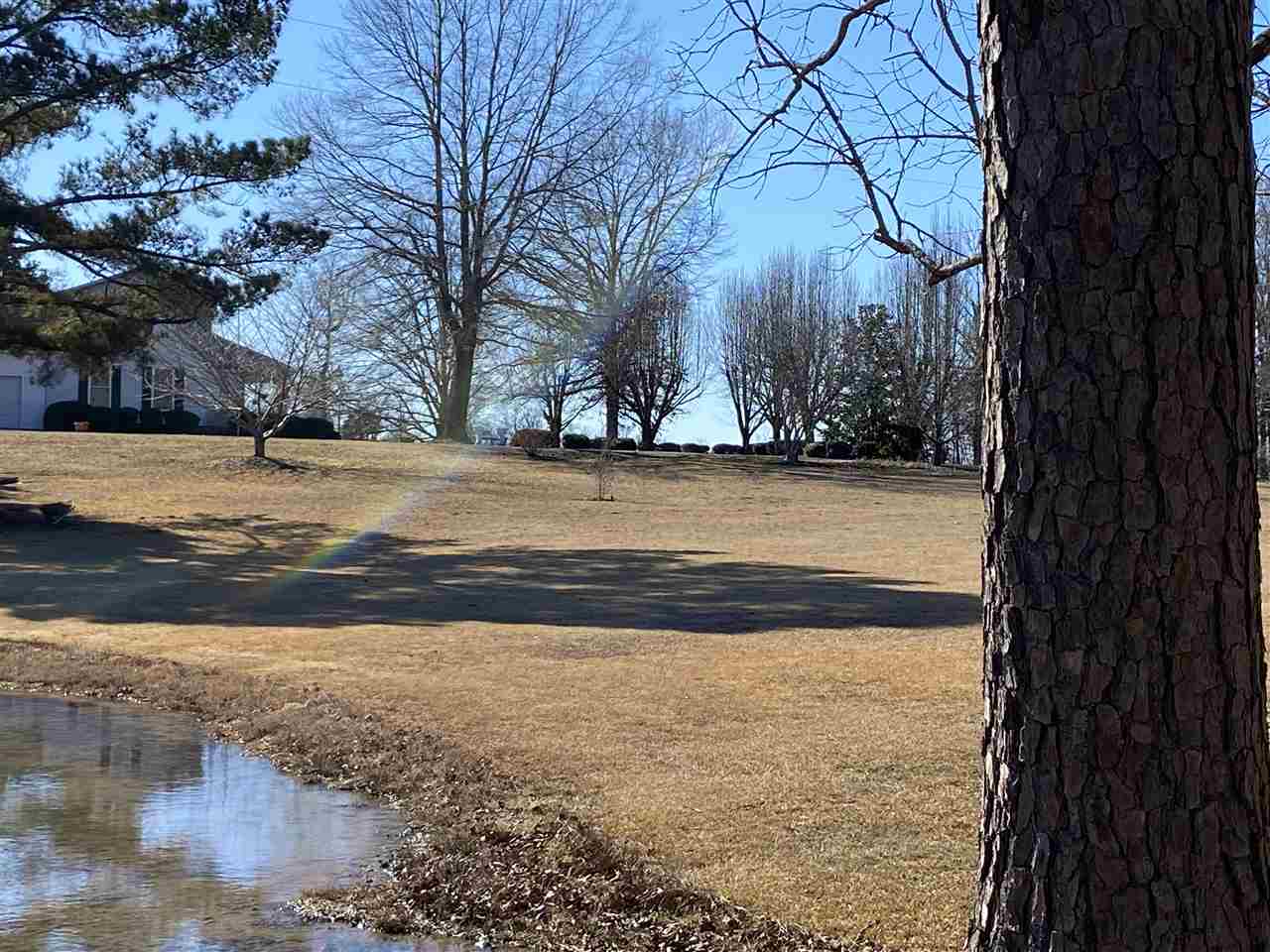 794 Hurley School House Road Ramer, TN 38367 - Photo 10 of 24 Gallery Image 10