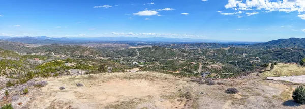 a view of a plant in a yard
