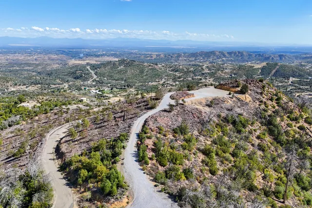an aerial view of residential houses with outdoor space and trees